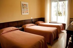 阿西西奇塔代拉奥斯普酒店的带窗户的客房内的三张床
