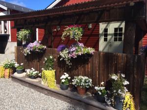 HammarstrandHotell Hammarstrand的房屋前有花盆的围栏