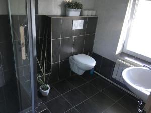 捷克克鲁姆洛夫克卢梅克旅馆的一间带卫生间和水槽的浴室