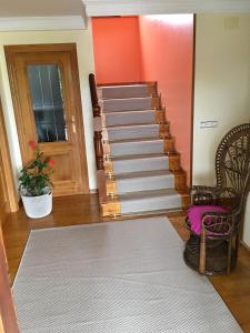 桑提亚纳德玛Posada Adela的楼梯,带地毯和椅子的房间