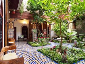 非斯托约尔利亚德比尔兹摩洛哥传统庭院住宅的庭院内种植了树木和植物的花园
