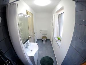 布莱德The Jungle Apartments and Rooms (Vila Džungla)的浴室配有白色水槽和卫生间。