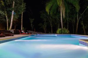 萨尔多斯德莫克纳拉米西翁摩可拿酒店 - 丛林小屋的棕榈树的蓝色游泳池