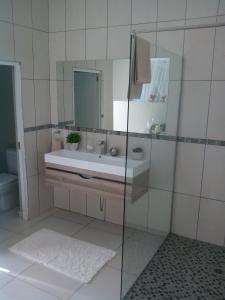 圣卢西亚St Lucia Kingfisher Lodge的一间带水槽和镜子的浴室