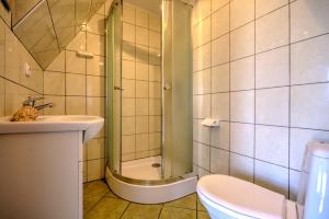 波莫瑞地区卡缅Domki przy zalewie的带淋浴、卫生间和盥洗盆的浴室
