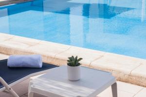 圣朱利安斯亚历山大酒店的坐在游泳池旁桌子上的盆栽植物