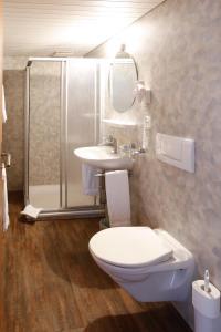 Alpnach阿尔卑纳赫兰德斯托付施鲁塞尔宾馆的浴室配有卫生间、盥洗盆和淋浴。
