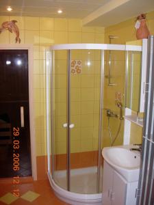 Zgornja SoricaHouse of relaxation的带淋浴、卫生间和盥洗盆的浴室