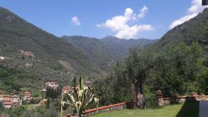 彼得拉桑塔Il colle di Abramo casa vacanze Enrica的享有山谷的背景山景。
