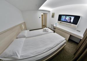基希讷乌Apartment OneClickRent_05 - Smart House的配有一张床和一台平面电视的酒店客房