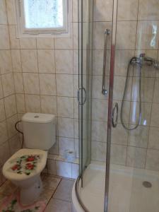 哈拉霍夫Konvalinka - ubytování v soukromí的一间带卫生间和玻璃淋浴间的浴室