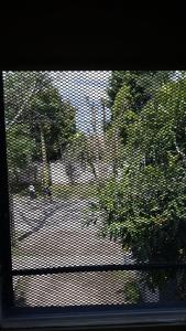 耶尔瓦布埃纳Cana Cacum的享有树景的窗户