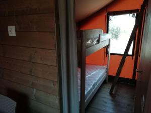 韦列agricampeggio GLAMPING MARCONI的配有窗户的小屋内的双层床