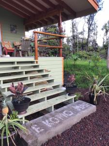 沃尔卡诺Volcano Eco Cabin & Eco Lodge的盆栽植物屋前的楼梯