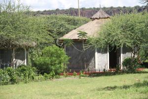 Ol KokweSandai Resort Lake Baringo的相册照片