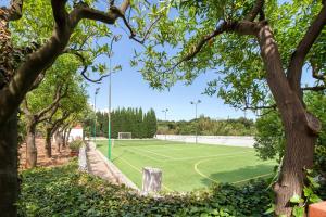 滨海波利尼亚诺Amoredimare B&B in Villa的树木繁茂的公园内的网球场