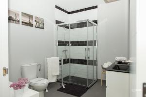 赫尔特Apartamentos Dacris的带淋浴、卫生间和盥洗盆的浴室