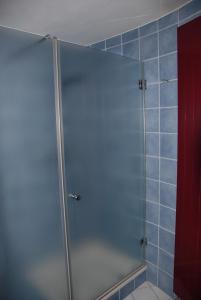 埃希特纳赫Wollefstuerm的浴室里设有玻璃门淋浴