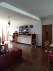 波洛夫拉吉Casa de vacanta Macovei0744的带沙发和平面电视的客厅