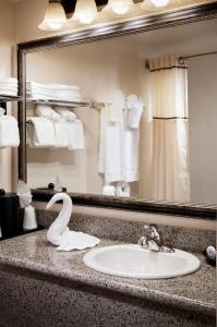 安纳海姆阿纳海姆城堡套房酒店的浴室水槽设有镜子,在柜台上设有天鹅