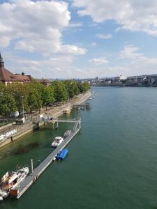 巴塞尔Apartment am Rhein的码头上停靠船只的河景