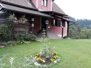 MoraviceApartman Anika的院子里一束鲜花的房子