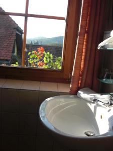 绍萨尔地区基策克葛诺斯古特洛伦茨乡村旅馆的相册照片
