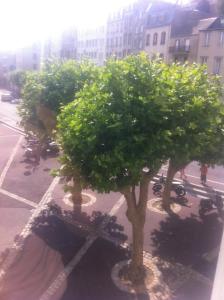 格朗维尔le flibustier的城市街道上的一群树木