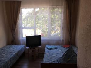 扎托卡Kvartira v Zatoke的客房设有两张床、一台电视和一扇窗户。