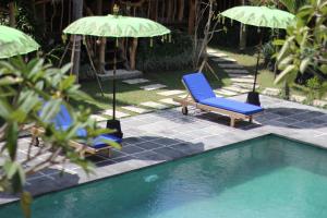 坎古棕榈树别墅酒店的游泳池畔的2把蓝色椅子和遮阳伞