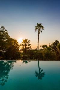 贝尼蔡斯Ionian Garden Villas - Villa Olea的棕榈树和日落的游泳池