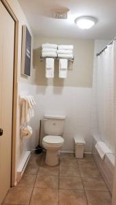 加蒂诺2-Bedroom Apartment #30A by Amazing Property Rentals的一间带卫生间、淋浴和毛巾的浴室