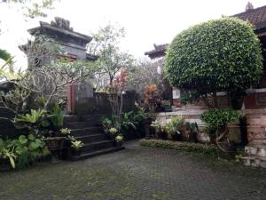 希德门普瑞阿贡酒店的种有植物和楼梯的花园