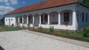VadnaHeni Vendégháza的一座白色的小建筑,前面有鲜花