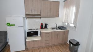 锡拉夏岛Thirassia Paradise Suites的一间带冰箱和水槽的小厨房