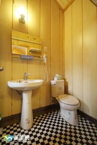 古坑大湖底木屋民宿的一间带水槽和卫生间的浴室