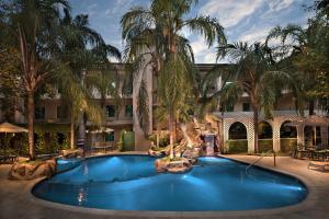 蒙特雷Safi Royal Luxury Centro的棕榈树度假村内的游泳池