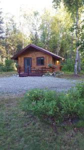 塔尔基特纳Talkeetna Fireweed Cabins的相册照片