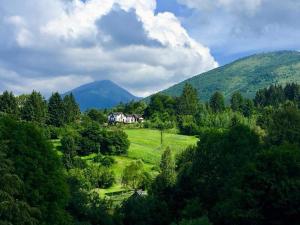 莫伊塞Alpina Panoramic的山丘上以山为背景的房子