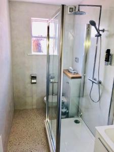 戈尔韦艾尔广场联排别墅酒店的浴室里设有玻璃门淋浴