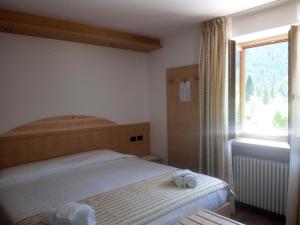 法尔西德雪绒花酒店的一间卧室设有一张床和一个大窗户