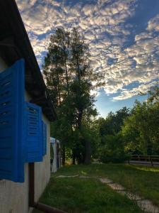 特伦Tleniowo的一片蓝百叶窗和一棵树在田野里的房子