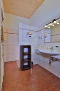 特洛普拉赫Hotel Garni Zerza的一间带水槽和镜子的浴室
