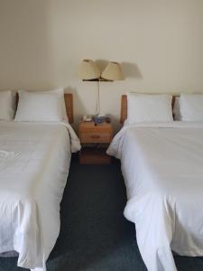 萨塞克斯Covered Bridge Inn & Suites的两张睡床彼此相邻,位于一个房间里