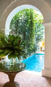 卡塔赫纳卡萨唐桑丘马斯蒂克岛酒店的游泳池旁的桌子上放着植物