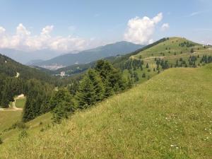 福尔加里亚Rifugio Di Pace的一座草木茂盛的山丘,背景是树木和山脉