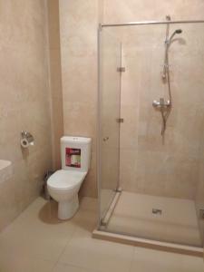 敖德萨Hotel Elita的一间带卫生间和玻璃淋浴间的浴室