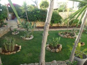 奎特里拉VIVENDA L'OLIVIER的种有棕榈树和植物的花园