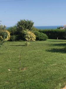 亚历山德鲁波利斯Villa Belvedere的一片大片绿草,背景是海洋