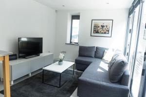 爱丁堡Gillespie House的带沙发和电视的客厅